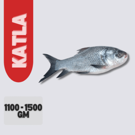 Katla Fish
