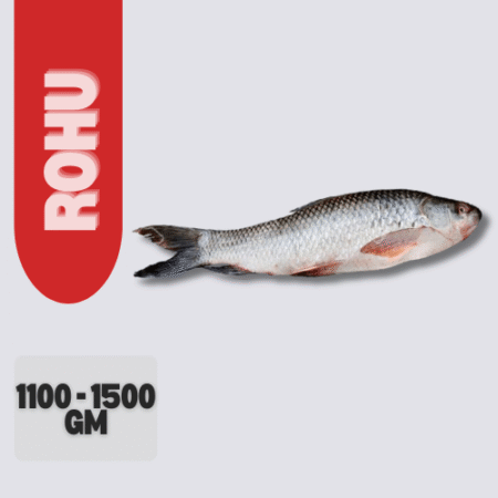 Rohu Fish