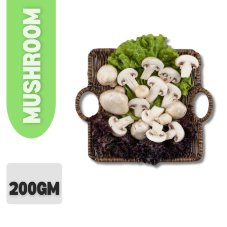 Mushroom
